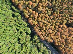 -山王坪喀斯特国家生态公园