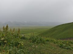 -新疆那拉提国家旅游度假区