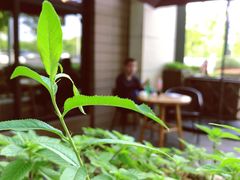 -糕潮(森兰店)