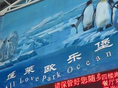 -蓬莱欧乐堡海洋极地世界