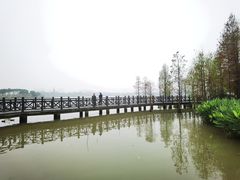 -海珠湖公园
