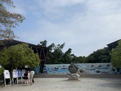 -广东惠东海龟国家级自然保护区