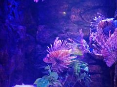 -梦幻海洋王国(吾悦广场张家港店)
