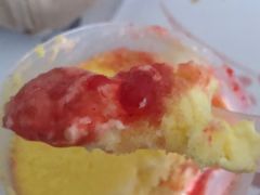 -蒲公英(五里店)