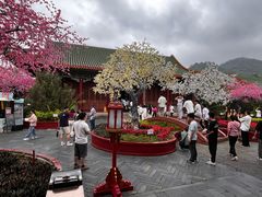 -珠海圆明新园