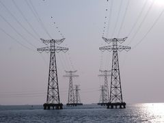 -宝安西湾红树林湿地公园