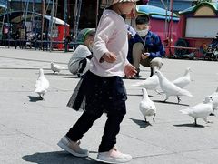 -华夏文旅海洋公园