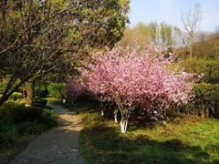-白马涧龙池景区