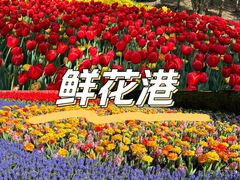 -上海鲜花港