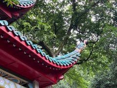 -岳麓山风景名胜区