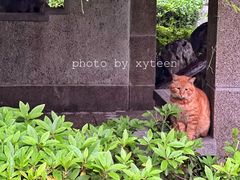 -郑和公园