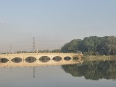 -昆山城市生态森林公园