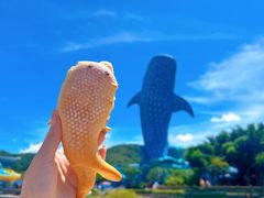 -珠海长隆海洋王国