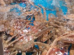 -徐记海鲜(汉城湖|太奥店)
