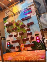 -卡通尼·Safari非洲探索乐园·生日会(金桥国际商业广场店)