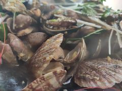 -海帮主·蒸汽海鲜青岛菜(栈桥火车站店)