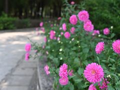 -云岗森林公园