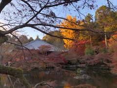 -醍醐寺