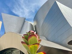 -华特·迪士尼音乐厅