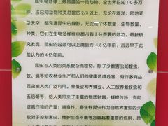 -上海昆虫博物馆