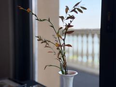 -江南雅厨(李公堤店)