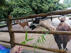 -西安秦岭野生动物园