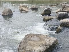 -洨河生态公园