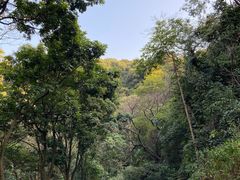 -广州市白云山风景名胜区
