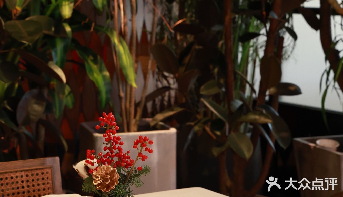 超美意大利🇮🇹餐厅，圣诞🎄氛围感绝了