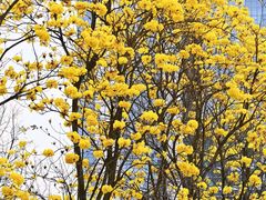 -龙湖重庆时代天街