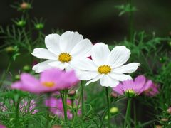 -钟山体育运动公园