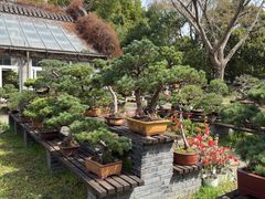 -扬州大运河文化旅游度假区·盆景园