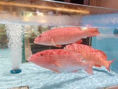 -阿伟海鲜楼·福建菜(延寿店)