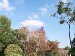 -上海海湾国家森林公园