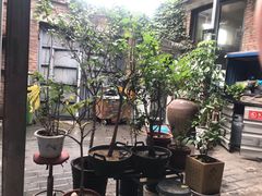 -新疆狼爷烤肉(宋庄店)