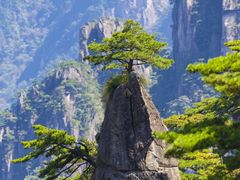 -黄山风景区