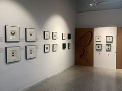 -上海昆虫博物馆