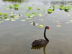 -东山湖公园