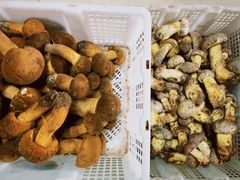 -双喜农庄·菌香园(安居家园店)