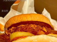 大盘鸡风味麦辣鸡腿汉堡-麦当劳(塘桥店)