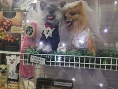-西九龙中心