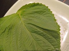 -梨花自助烤肉(西三旗万象汇黑金店)