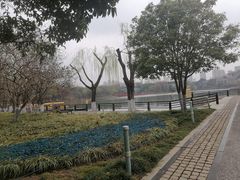 -青枫公园
