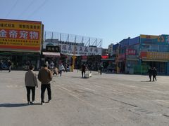 -中环花鸟鱼虫市场