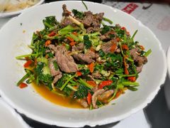 香菜炒牛肉-壹盏灯(蚂蚁工房店)
