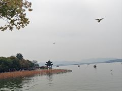 -西湖游船
