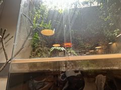-小意思咖啡店(草桥店)