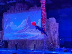 -华夏文旅海洋公园