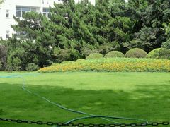 -证大大拇指广场(芳甸路店)