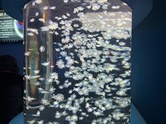 -太平洋海底世界